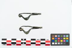 Foto von Bronzepaukenfibel (NHMW-PRAE-025985)